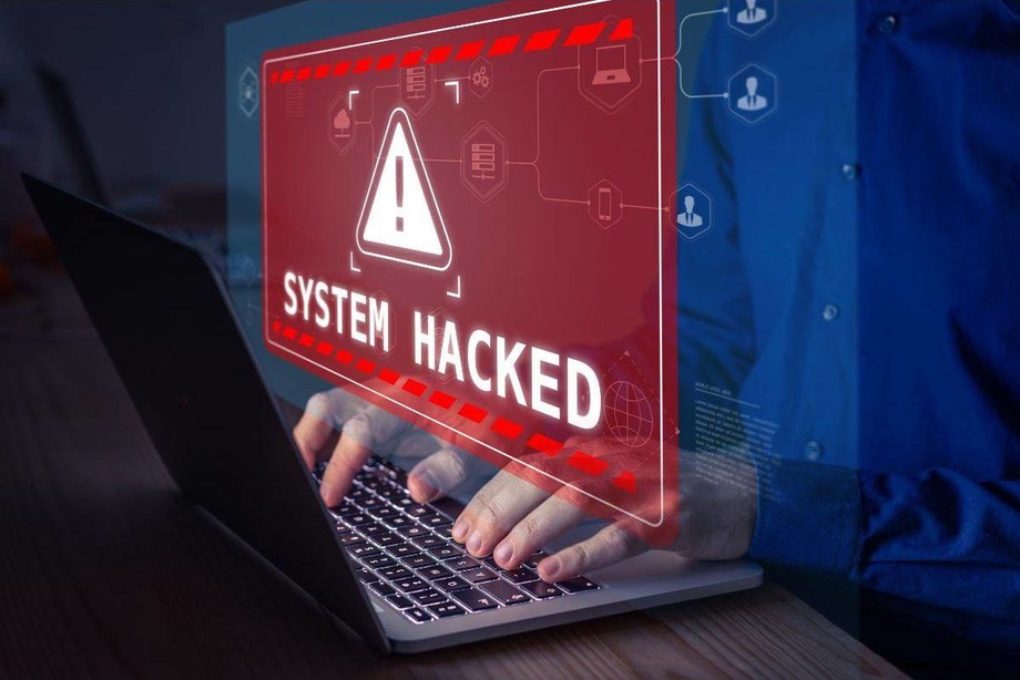 В Узбекистане выявили число хакерских атак с начала 2024 года